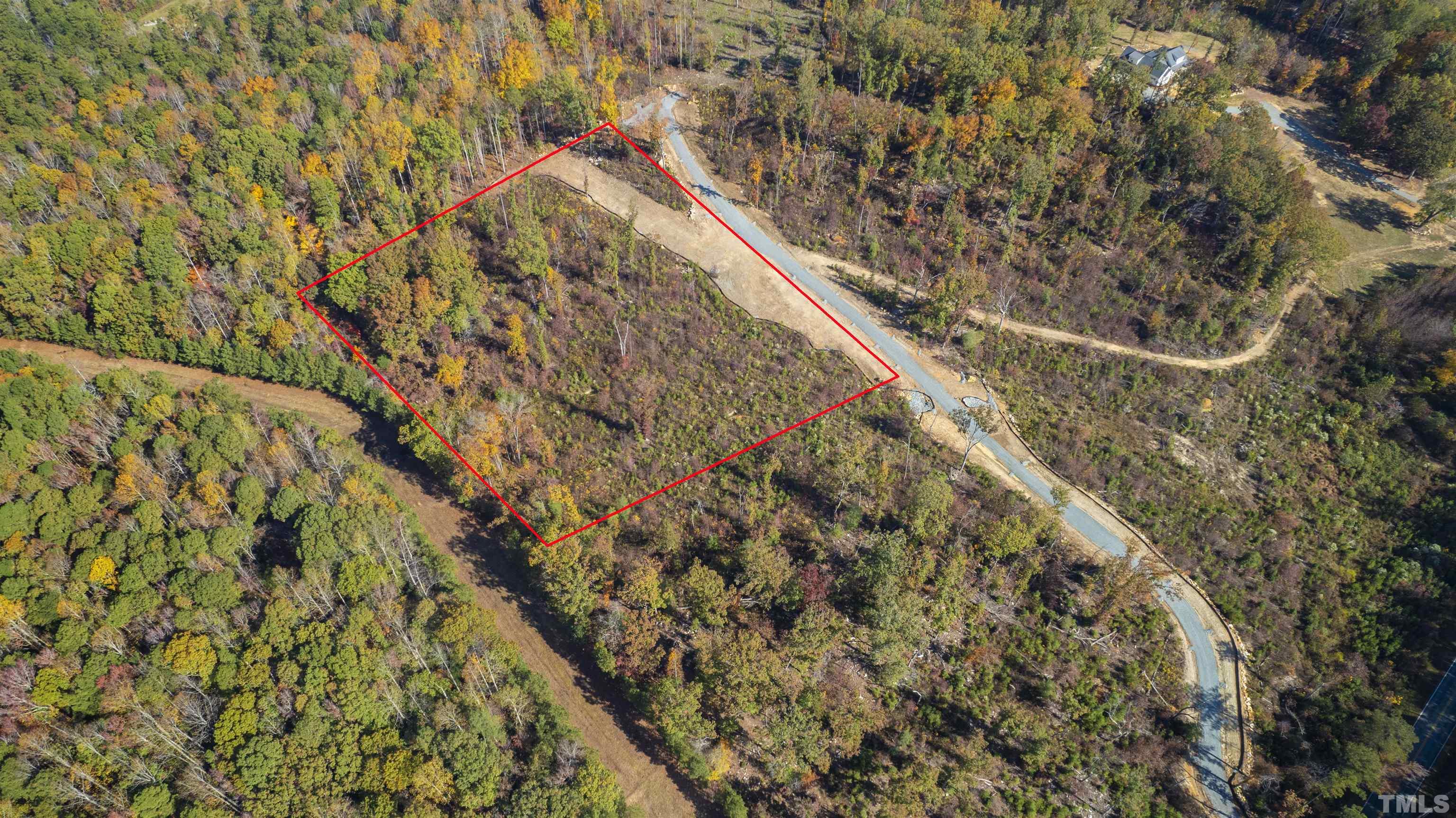 157 Scott Ridge Drive Pittsboro, NC 27312 - Photo 11 of 16 a view of a yard with a tree