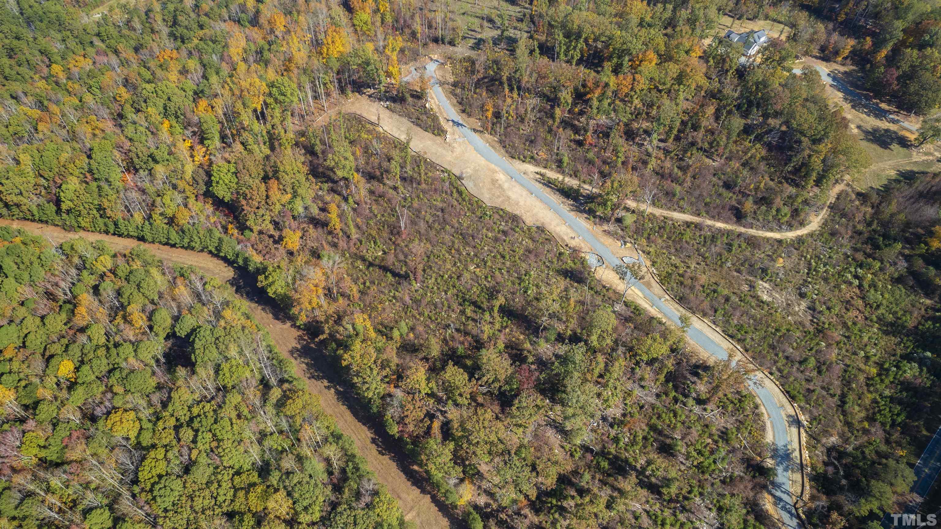 157 Scott Ridge Drive Pittsboro, NC 27312 - Photo 12 of 16 a view of a yard with a tree