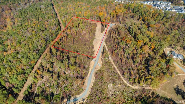 a view of a yard with a plant