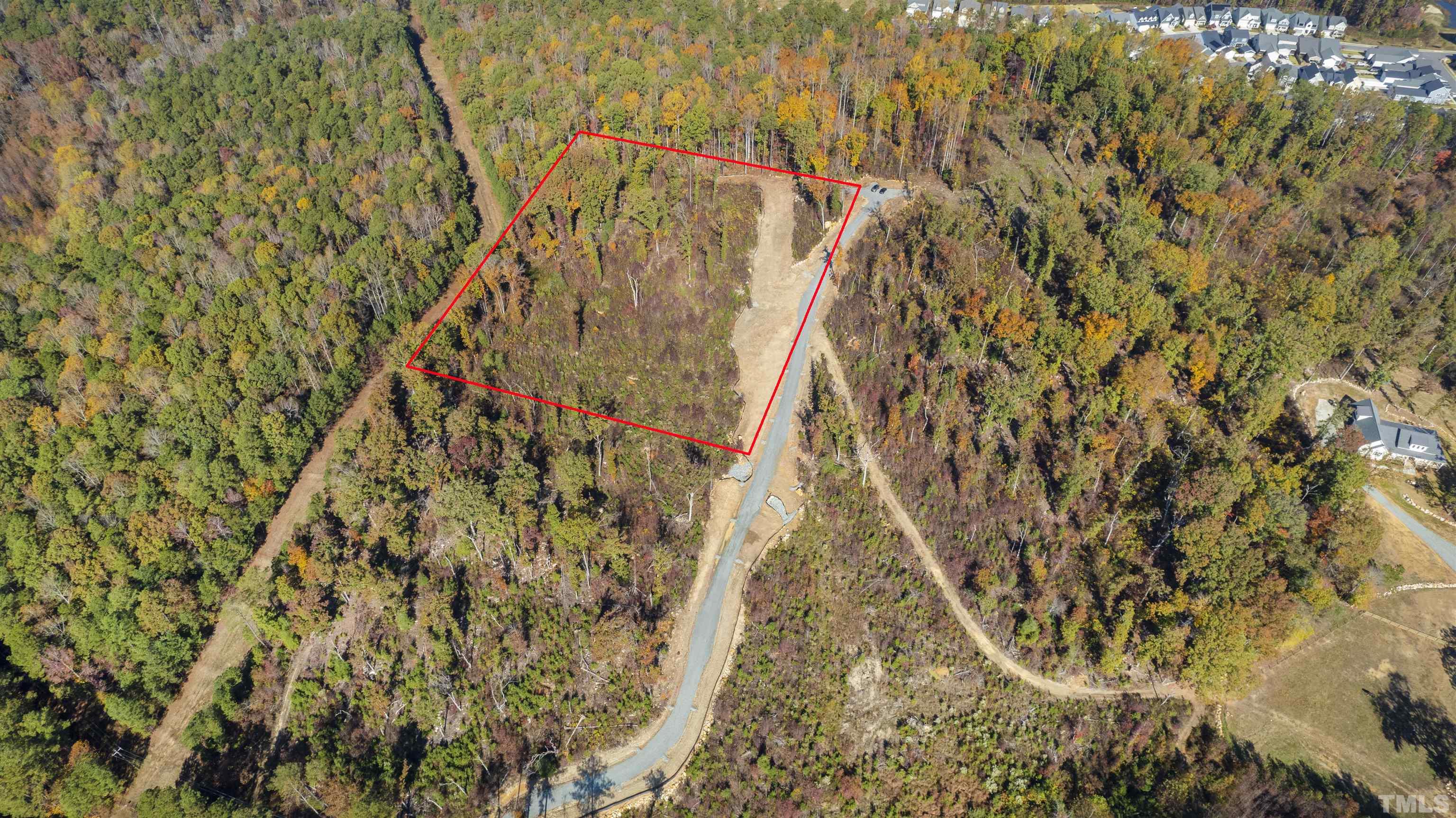 157 Scott Ridge Drive Pittsboro, NC 27312 - Photo 13 of 16 a picture of a tree