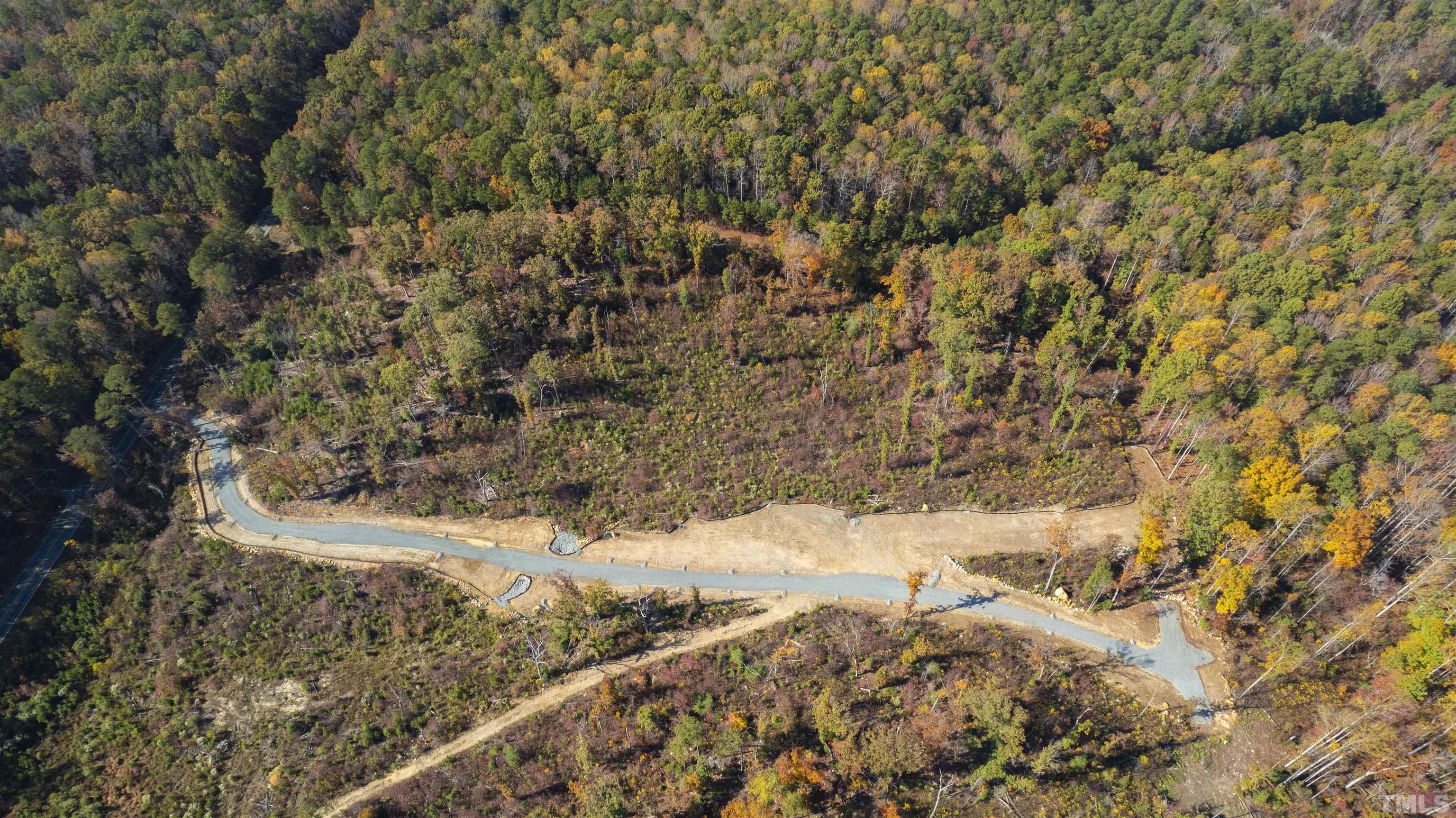 157 Scott Ridge Drive Pittsboro, NC 27312 - Photo 4 of 16 a view of a yard with a tree