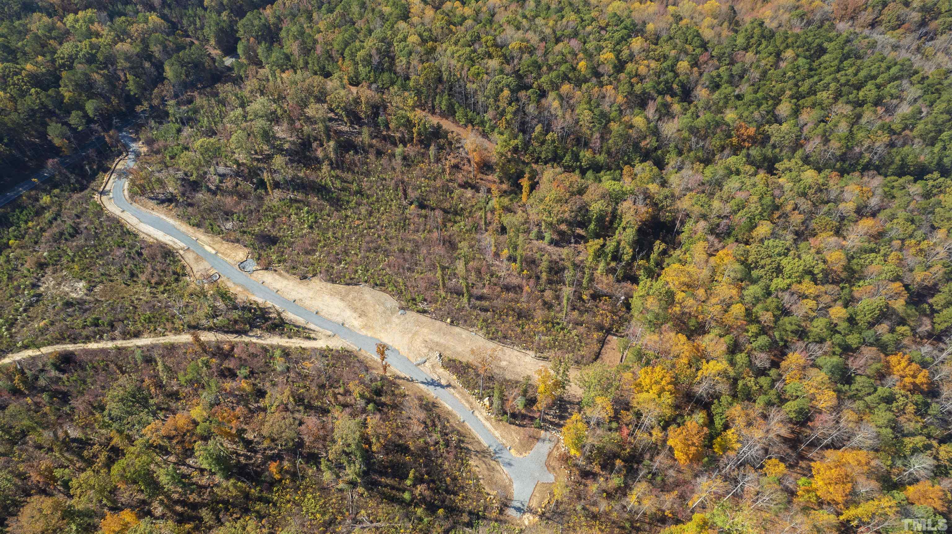 157 Scott Ridge Drive Pittsboro, NC 27312 - Photo 6 of 16 a view of outside area