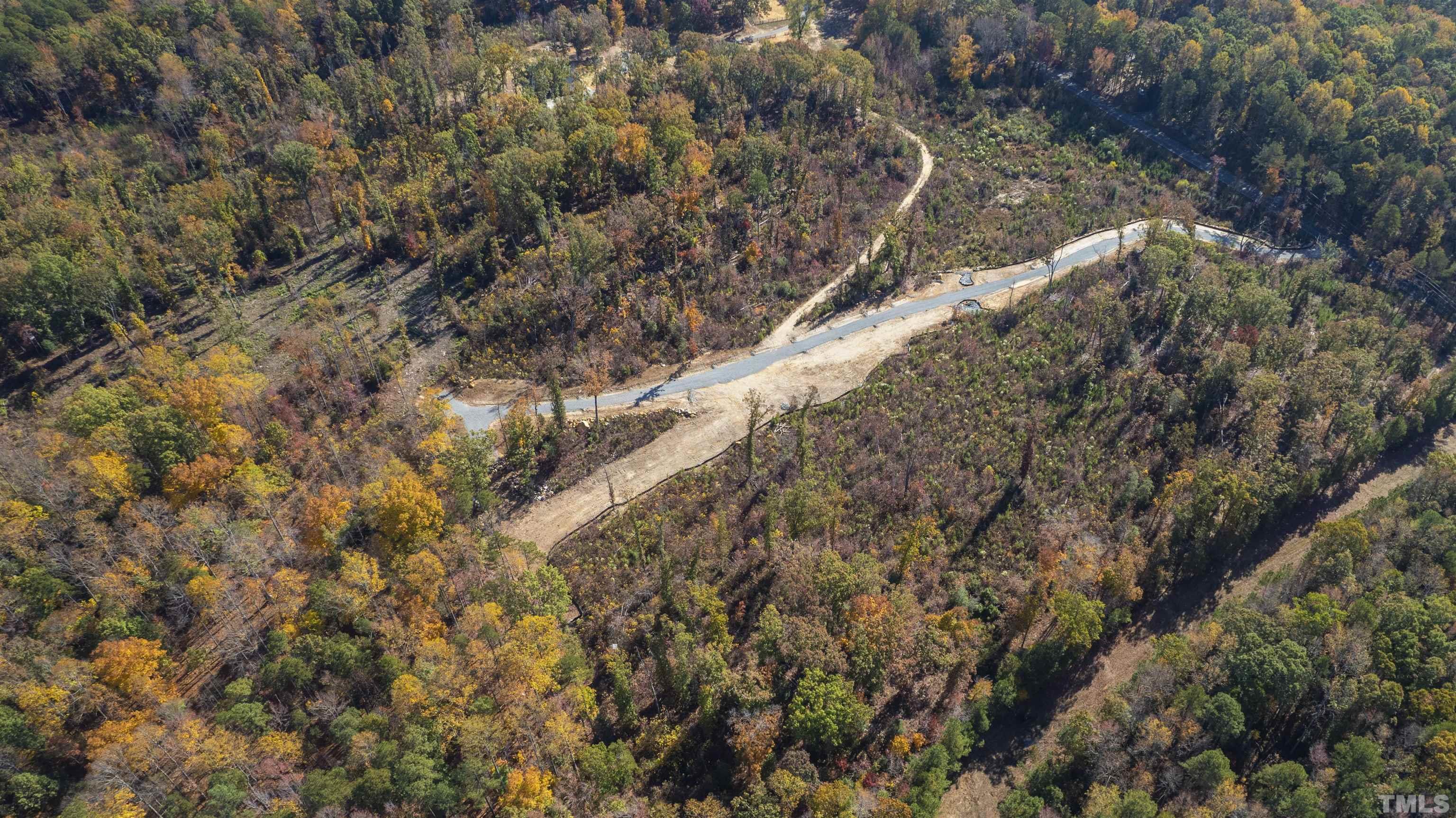 157 Scott Ridge Drive Pittsboro, NC 27312 - Photo 8 of 16 a view of a forest with a tree