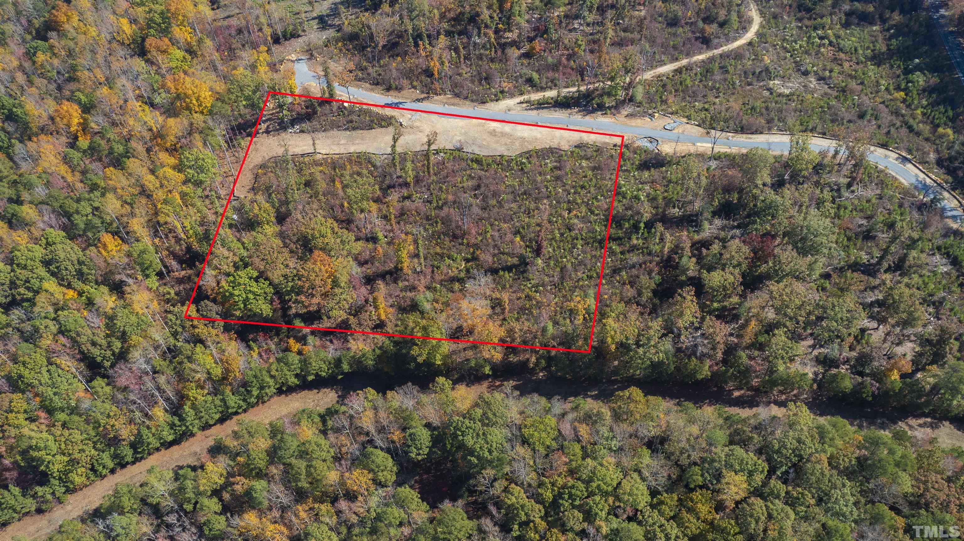 157 Scott Ridge Drive Pittsboro, NC 27312 - Photo 9 of 16 a view of a pathway with a flower garden