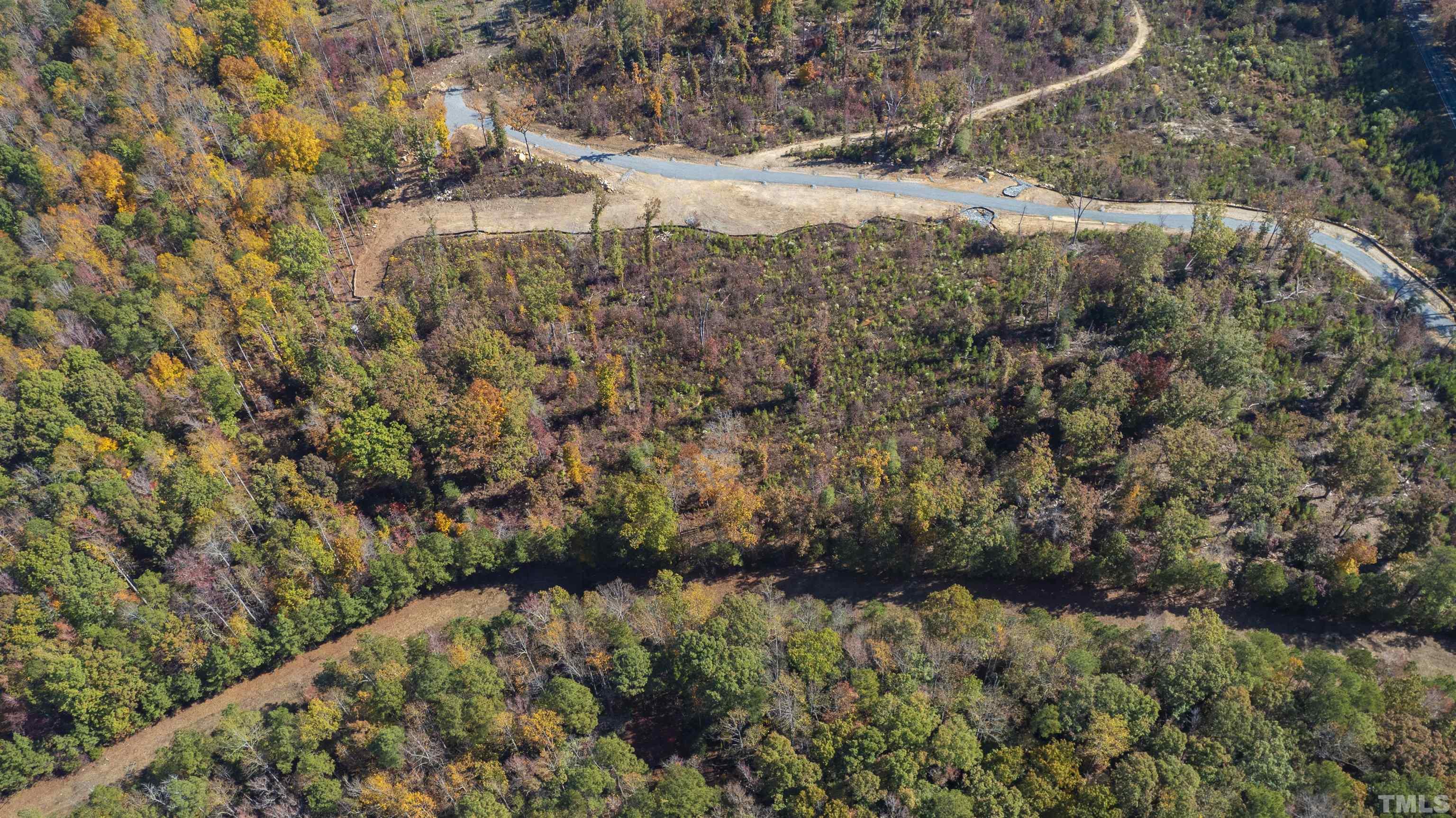 157 Scott Ridge Drive Pittsboro, NC 27312 - Photo 10 of 16 a view of a yard with a tree
