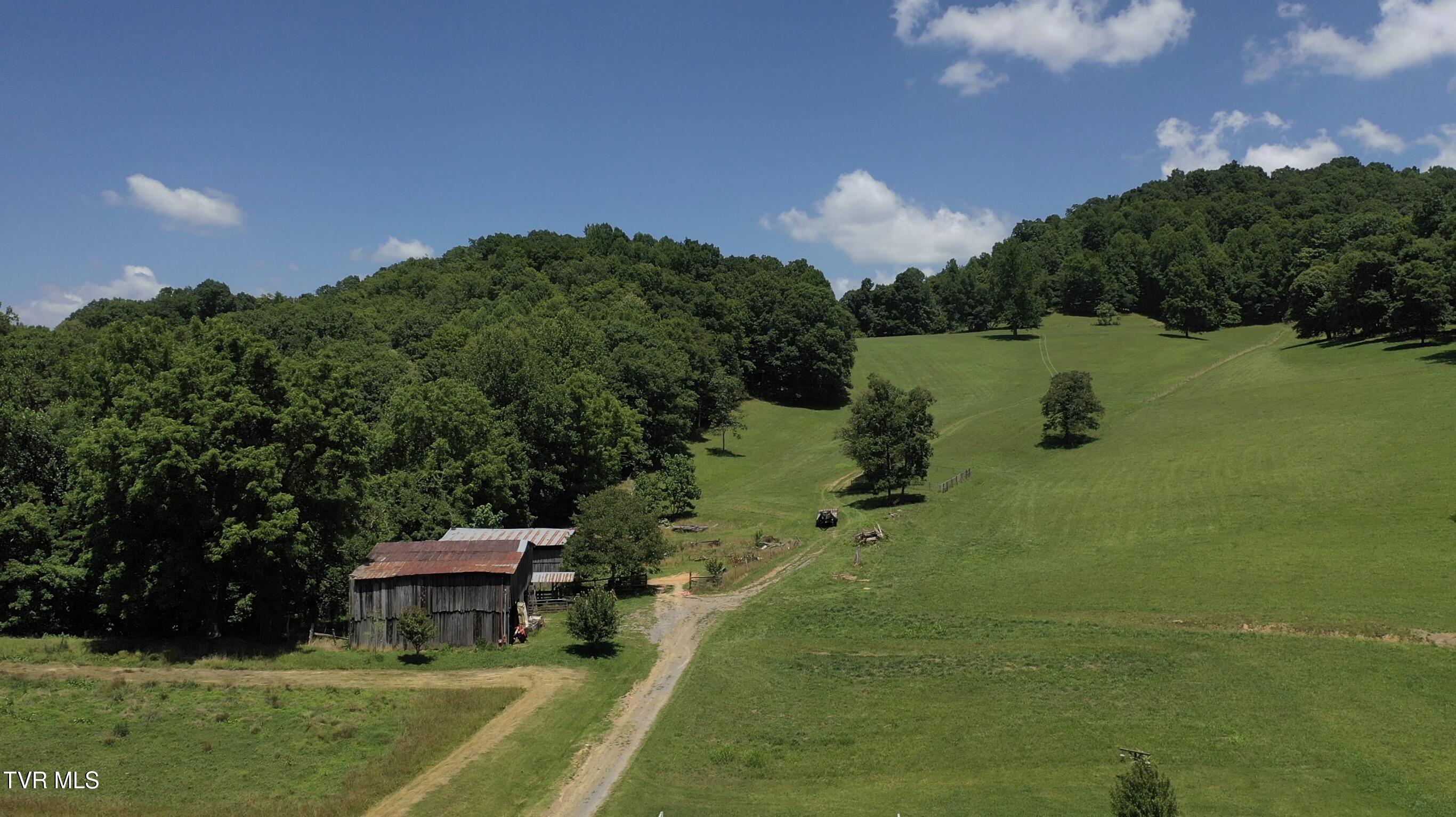 219 Ridge Road Eidson, TN 37731 - Photo 5 of 72 _Pic5 (4)