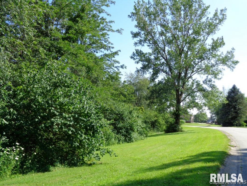 3518 Vestige Trail Springfield, IL 62707 - Photo 7 of 26