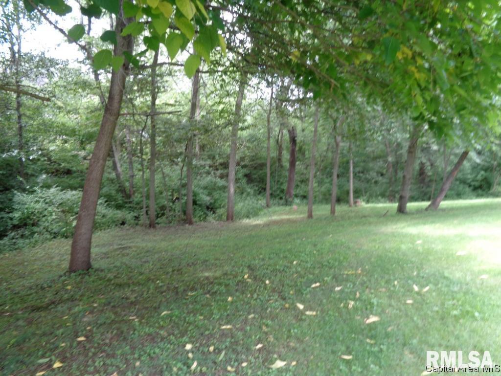 3518 Vestige Trail Springfield, IL 62707 - Photo 8 of 26