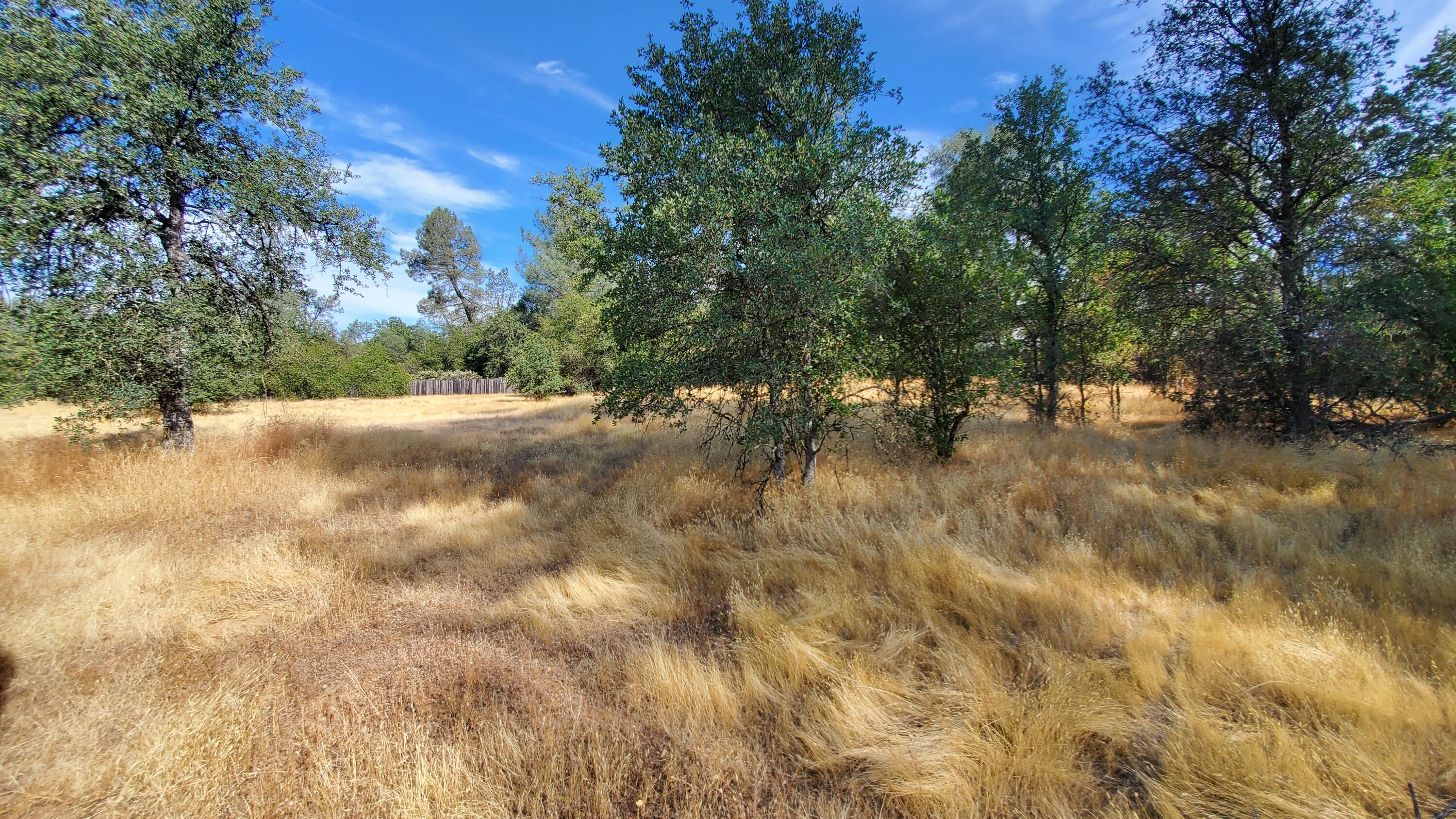 12141 Beltline Road Redding, CA 96003 - Photo 11 of 28 20240807_095519