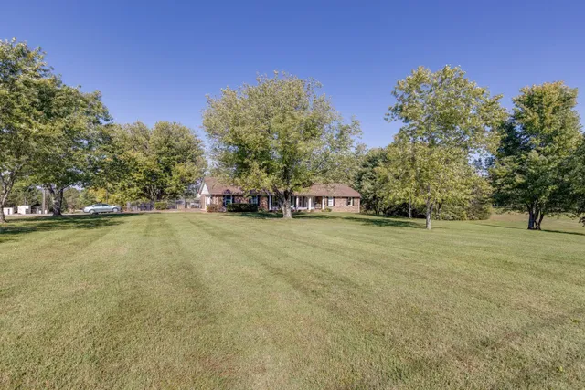 a swimming pool with trees in the background