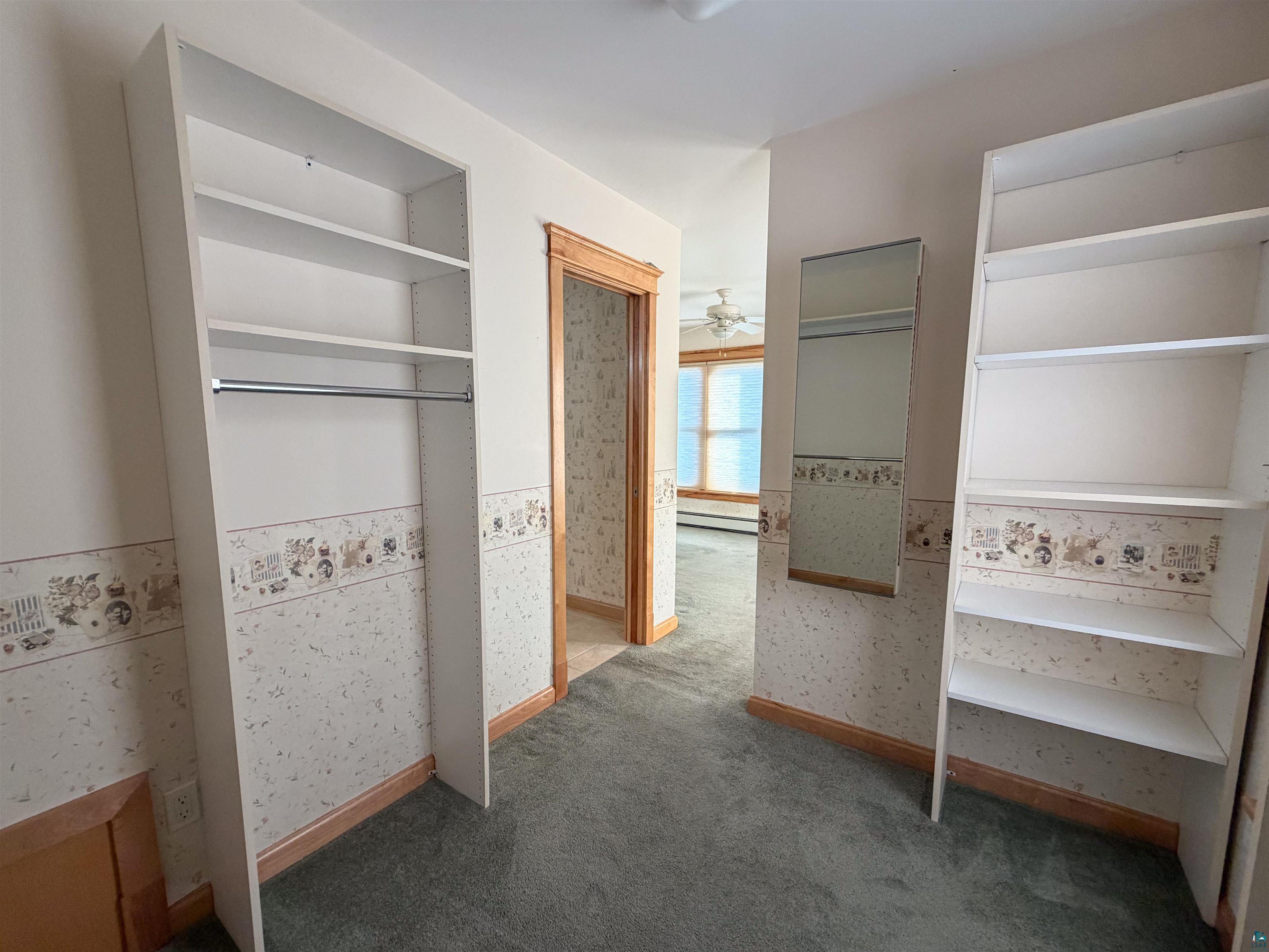 13 West 8th Street Duluth, MN 55806 - Photo 20 of 57 Built-in shelving units with hanging rods, a wall-mounted mirror, and carpet flooring