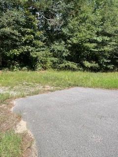 4654 Hope Springs Road Stone Mountain, GA 30083 - Photo 15 of 18 a view of a yard