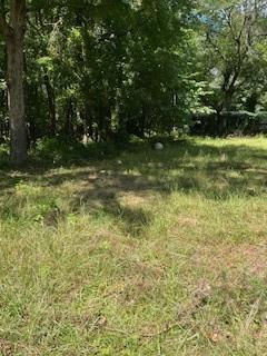 4654 Hope Springs Road Stone Mountain, GA 30083 - Photo 16 of 18 a view of yard with green space