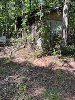 4654 Hope Springs Road Stone Mountain, GA 30083 - Photo 17 of 18 a view of a yard with plants and large trees