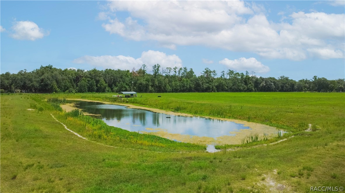 10774 East Lucas Trail Inverness, FL 34450 - Photo 9 of 18