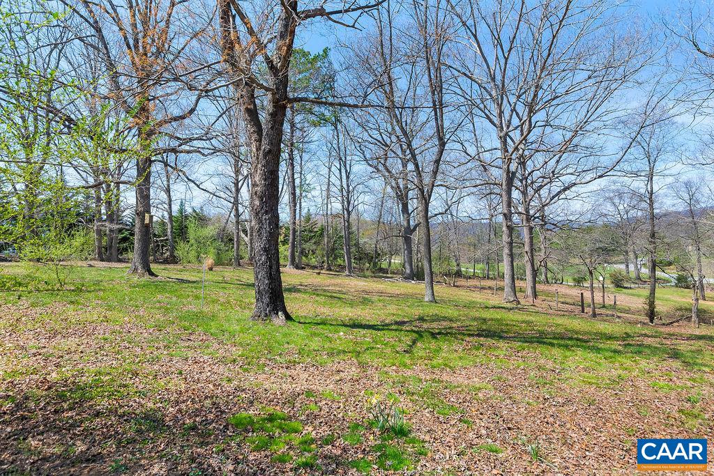 923 Smith Road Afton, VA 22920 - Photo 22 of 34 a view of park with trees