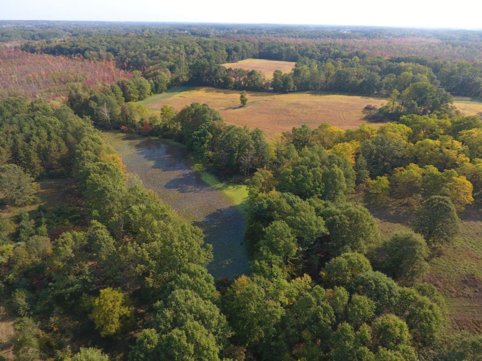 DJI_0008