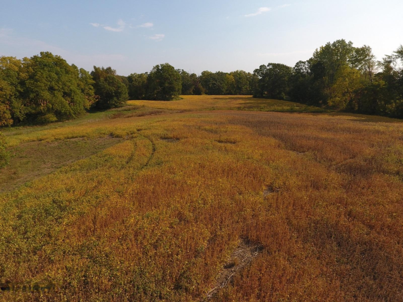 9855 Ionia Road Bellevue, MI 49021 - Photo 18 of 20 DJI_0005