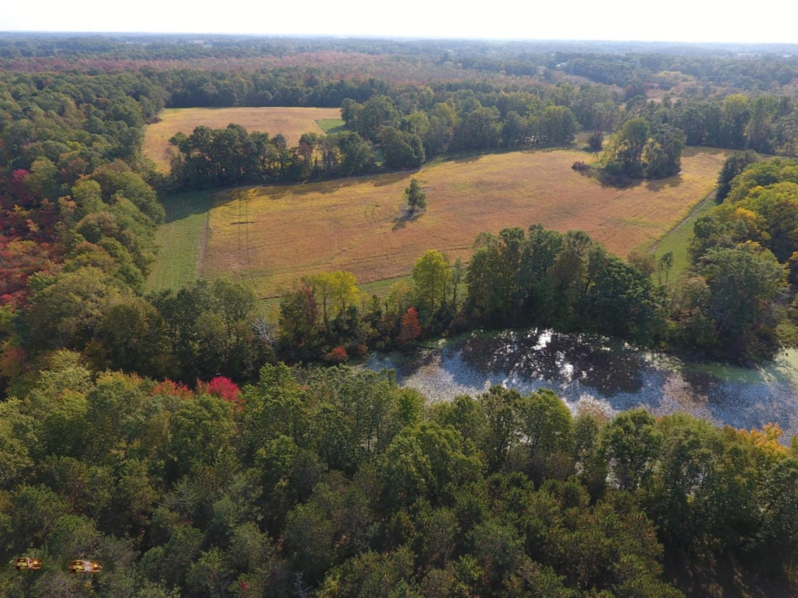 DJI_0010