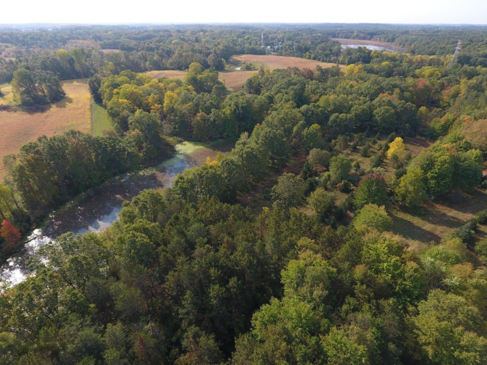 DJI_0011