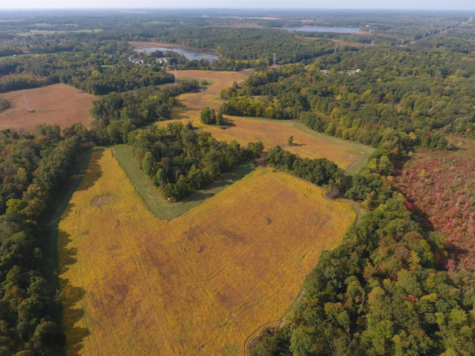 9855 Ionia Road Bellevue, MI 49021 - Photo 8 of 20 DJI_0015