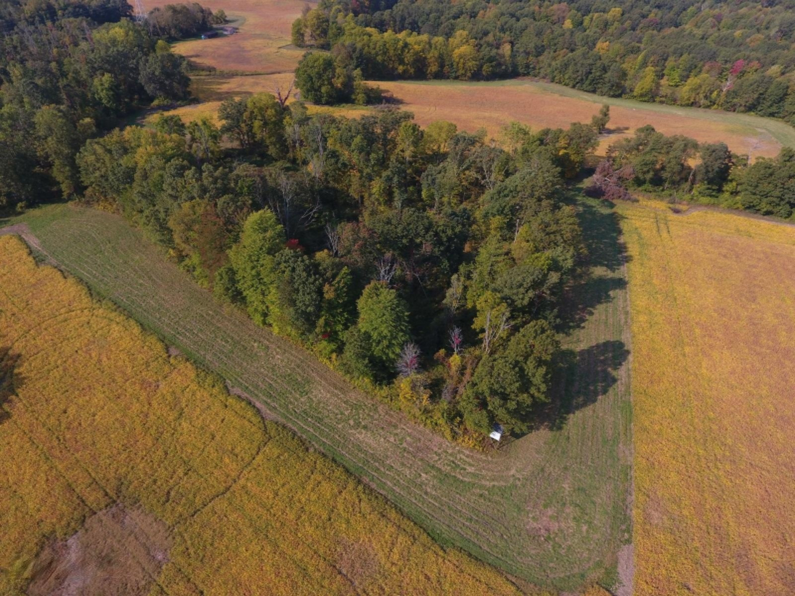 9855 Ionia Road Bellevue, MI 49021 - Photo 9 of 20 DJI_0016