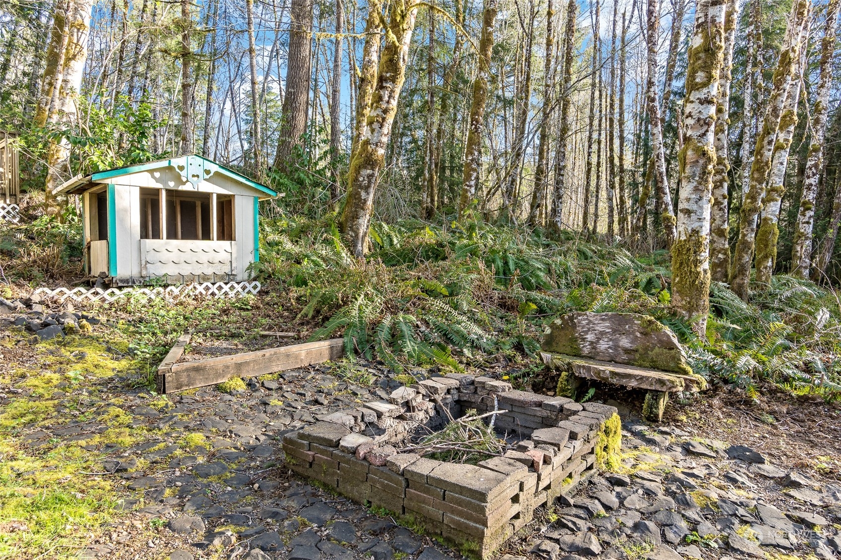 481 Arrowhead Drive Elma, WA 98541 - Photo 10 of 32 a plant that is in front of a yard