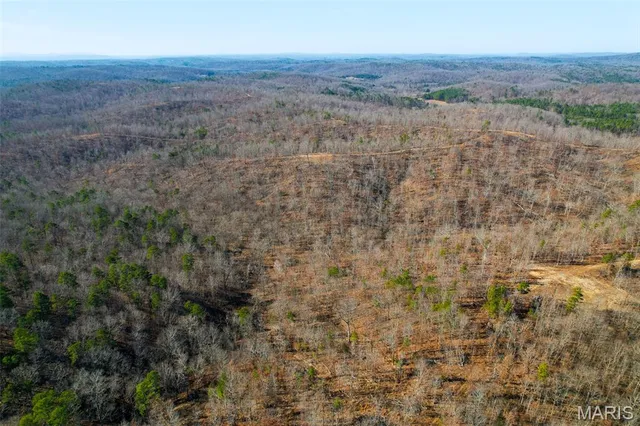 $93,995 | 131 Madison Cr, Fredericktown, MO 63645