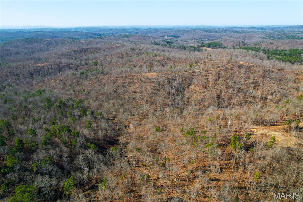 131 Madison Cr Fredericktown, MO 63645 - Photo 11 of 14