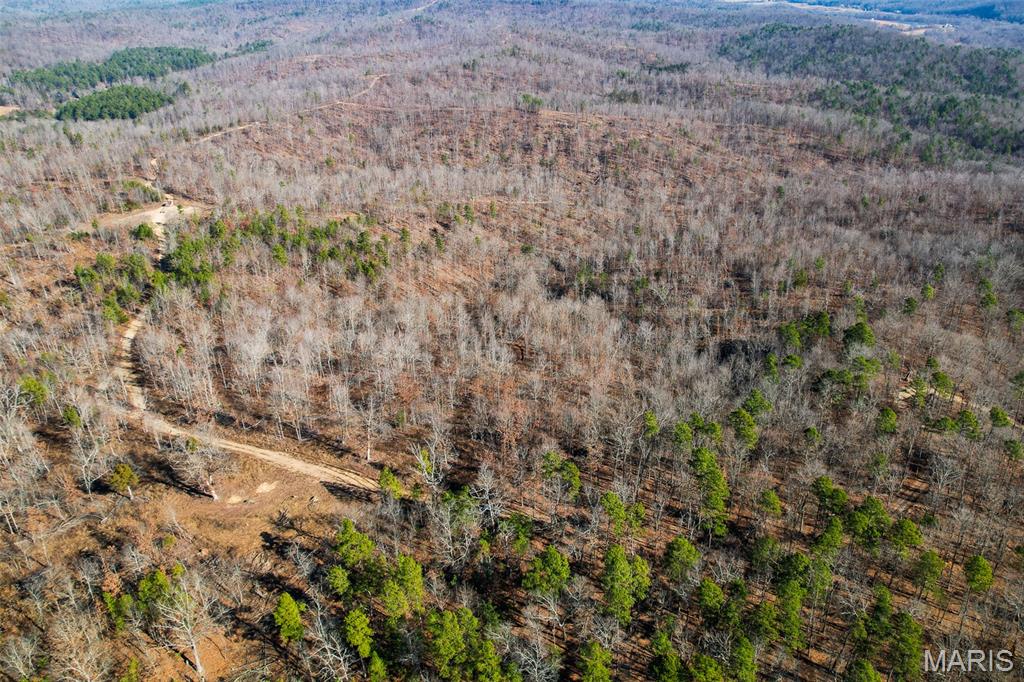 131 Madison Cr Fredericktown, MO 63645 - Photo 2 of 14