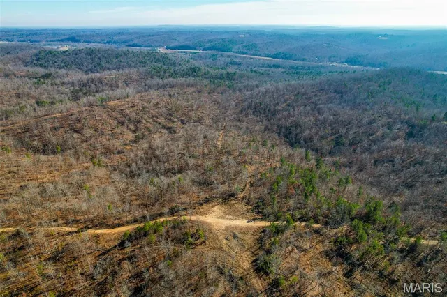 $93,995 | 131 Madison Cr, Fredericktown, MO 63645