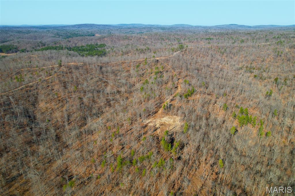 131 Madison Cr Fredericktown, MO 63645 - Photo 9 of 14