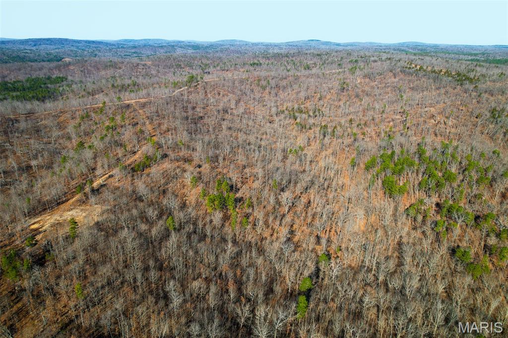 131 Madison Cr Fredericktown, MO 63645 - Photo 10 of 14