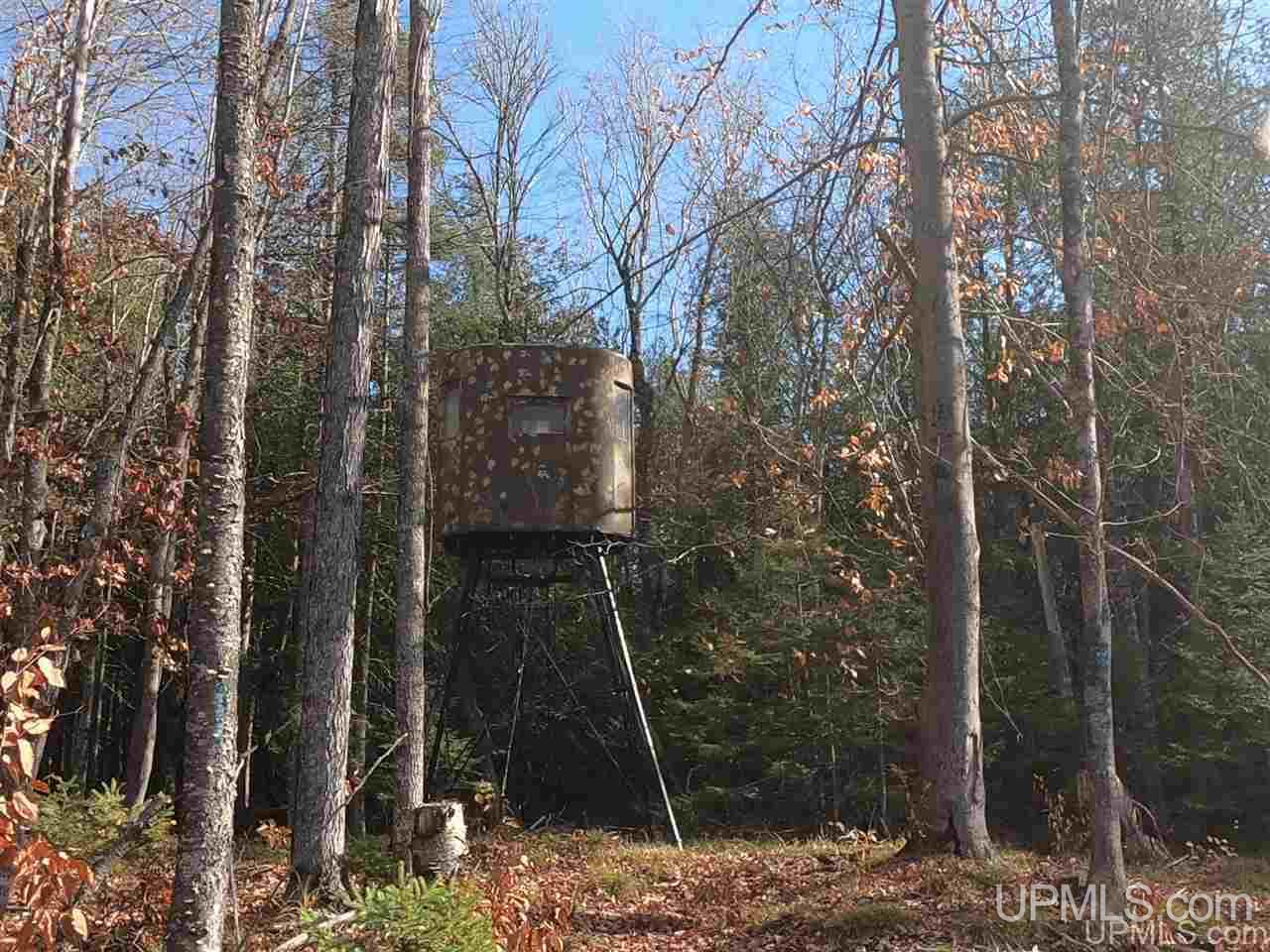 Tbd Tbd Vega Road Hermansville, MI 49847 - Photo 10 of 11