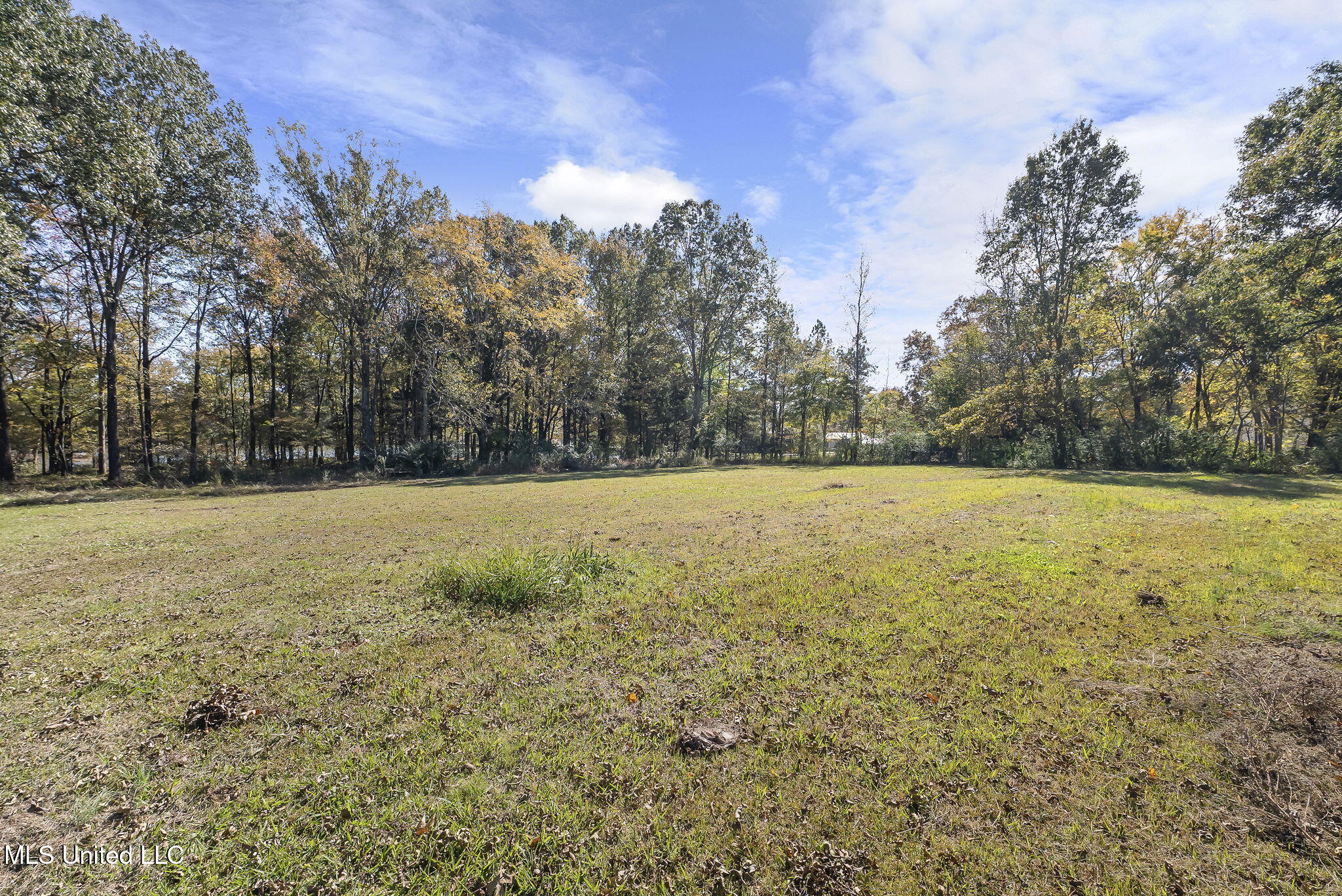 540 Douglas Road Hernando, MS 38632 - Photo 28 of 36 29-web-or-mls-540 Douglas Rd-28