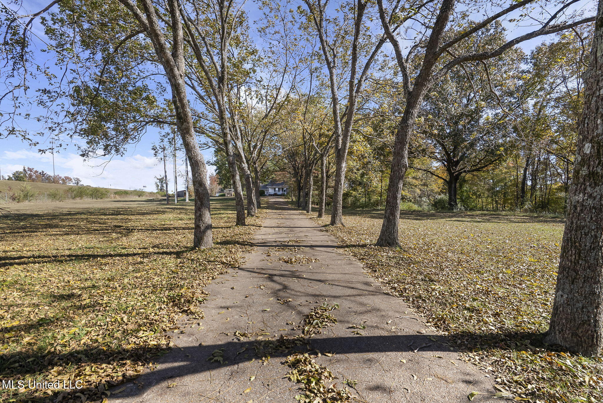 540 Douglas Road Hernando, MS 38632 - Photo 4 of 36 5-web-or-mls-540 Douglas Rd-04