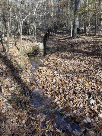 $299,900 | 1212 2nd Creek Road, Lutts, TN 38471