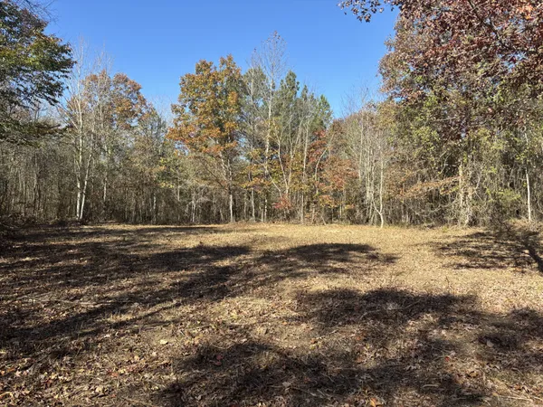 $299,900 | 1212 2nd Creek Road, Lutts, TN 38471