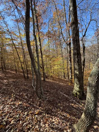 $299,900 | 1212 2nd Creek Road, Lutts, TN 38471