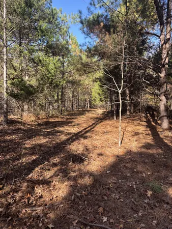 $299,900 | 1212 2nd Creek Road, Lutts, TN 38471