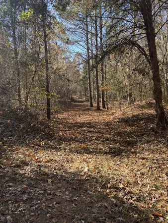 $299,900 | 1212 2nd Creek Road, Lutts, TN 38471
