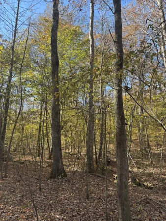 $299,900 | 1212 2nd Creek Road, Lutts, TN 38471