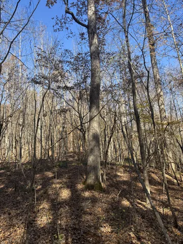 a backyard of a house