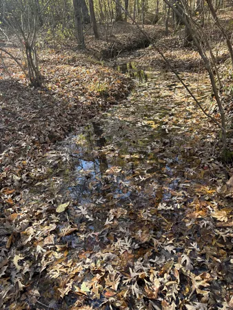 $299,900 | 1212 2nd Creek Road, Lutts, TN 38471