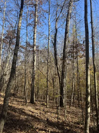 $299,900 | 1212 2nd Creek Road, Lutts, TN 38471