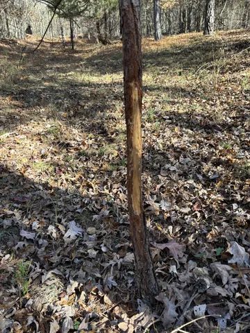 a close up view of racks on the wall