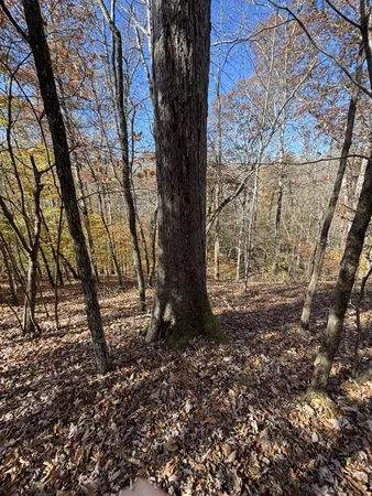 $299,900 | 1212 2nd Creek Road, Lutts, TN 38471