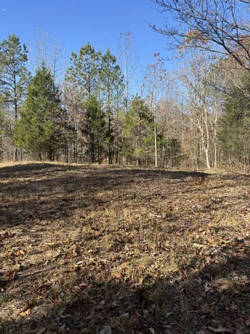 a view of outdoor space with trees