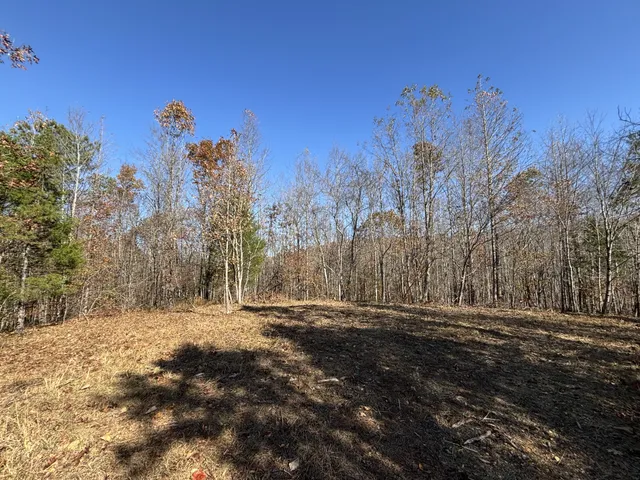a view of outdoor space with trees all around