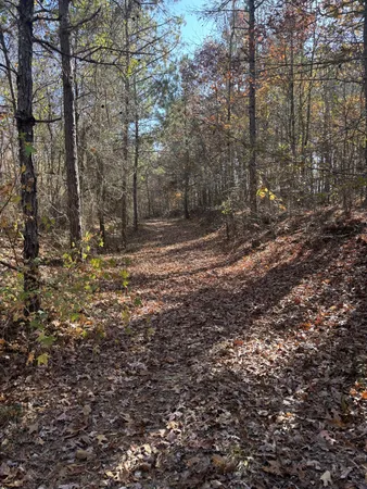 $299,900 | 1212 2nd Creek Road, Lutts, TN 38471